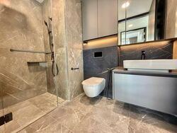 Irwell Hill Residences (D9), Apartment #483001211